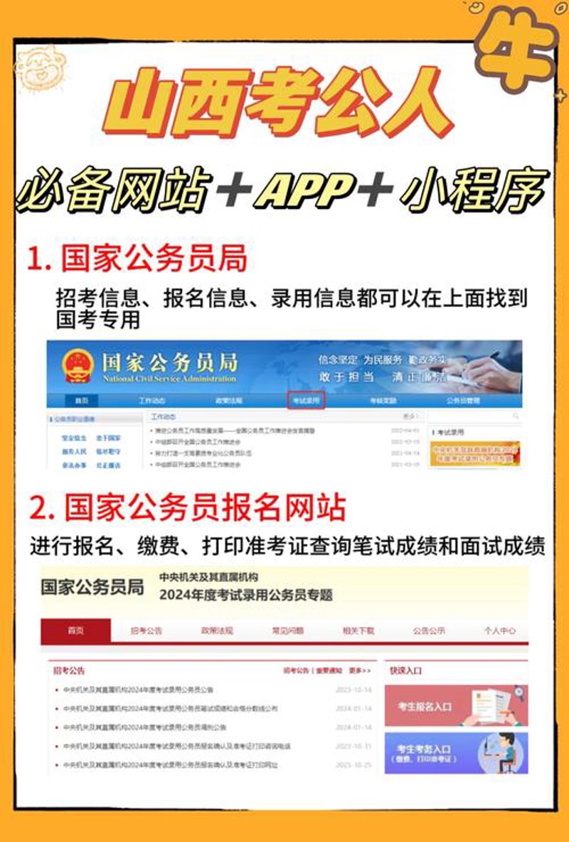 企业官网：展现品牌形象的新窗口